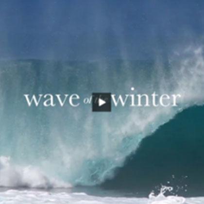 WAVE OF THE WINTER